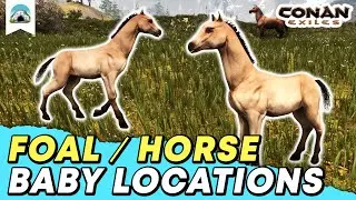 All Foal Locations: Where to find Horses - 2024 Guide | Conan Exiles