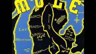 Mule - Mississippi Breaks