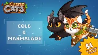 Castle Cats - Charity Event
