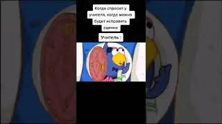 Прикол про школу и учителя, мультик Смешарики, Прикол Тик Ток Мемы
