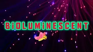 Bioluminscent কি হয় ? What is bioluminescence?