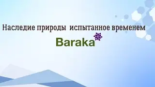 Обучение партнеров Baraka 10.09.2024