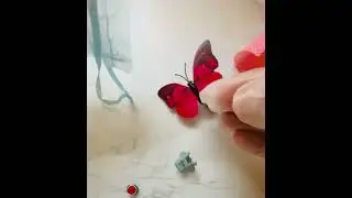 Butterfly Magnet BlindBag 💝( LIL KIDS COLLECTION)!
