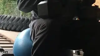 Garage gym stability ball dumbbell presses