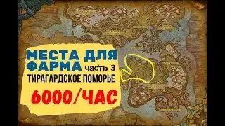 (TS-3) Gold farm WoW BFA 8.2.5. 6000g/hour