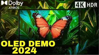 2024 OLED DEMO: Dolby Atmos Breakthrough in Next-Gen TV Technology!