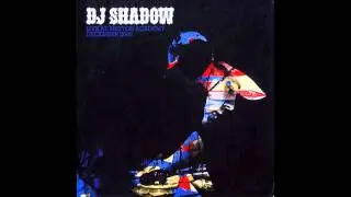 DJ Shadow - This Time (I'm Gonna Try It My Way) - Live @ Brixton Academy December 2006