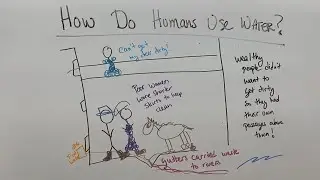 How do we pollute water?