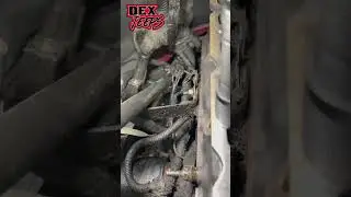Something simple to check if jeep wont start. 