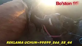 ‪@boston95‬