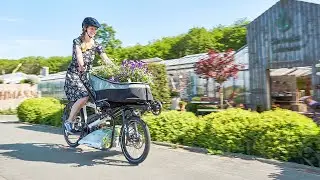 HASE BIKES PINO 2021 - the new Pino