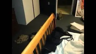 My Vines won't post - Part 2