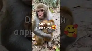 Ой, ты мой обрыгашка 🥵 
