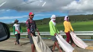 Cagayan  Valley to Isabella