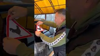 Новые правила ПДД для женщин 😵‍💫
