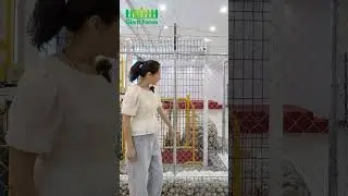 Introduction to chain link fence