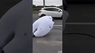 Protector Para Motorizados 