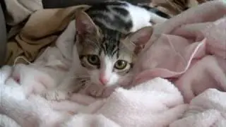 Izzy 026