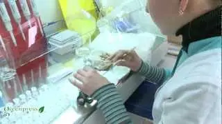 "Лесная" генетика