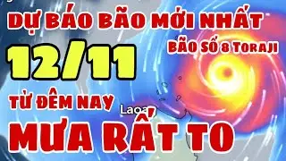 Dự báo thời tiết đêm nay và ngày mai 12/11 | dự báo bão mới nhất | dự báo thời tiết 3 ngày tới