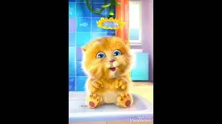 O sa mire O sa Keq  Ginger Cat