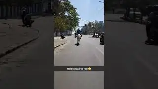real horse power |