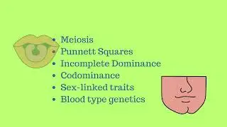 Semester-long GENETICS live online class