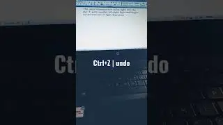Ctrl+Z | Undo | computer/laptop