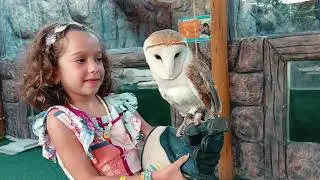 VISITANDO OS ANIMAIS NO ECOPARK -PARTE 2