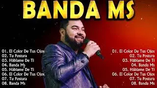 Las Monjitas, Entre Perico Y Perico...    ~ Banda MS ~ Top 10 Best Songs