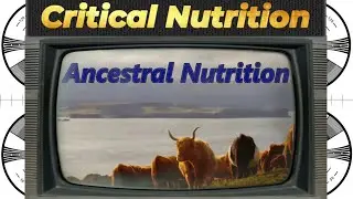 Over 30 nutrients found ONLY in animal products!