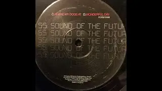 DJ SS - Where My Dogs At
