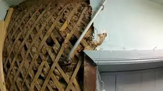 Стихийный переезд в новый "старый дом" // Дилетант