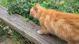 I SLIPPED AND FELL! This is what happend...