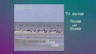 FaunaView: New Zealand - Natural Secrets