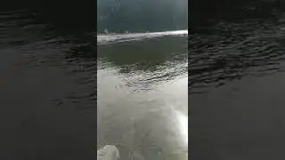 река Бия республика Алтай