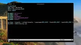 PostgreSQL Database Backup Automation