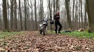 Yamaha Serow solo touring movie