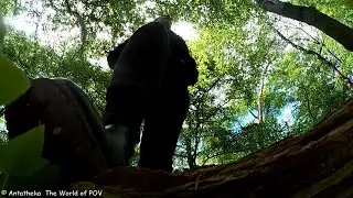 Giantess Sam - A walk into the woods
