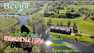 Пушкинские горы Весенние прогулки по земле и воздуху №2