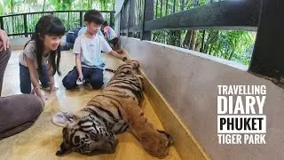 Thailand | Phuket EP2, Tiger Park