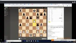 Урок шахмат с Алекс. Уровень начинающий
