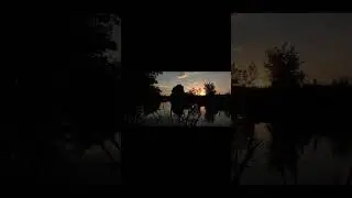 Хорошее качество фотографии. Новая функция камеры у Xiaomi