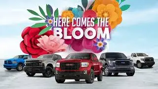 Pre-Owned Pick Ups at Moncton Chrysler Dodge Jeep RAM
