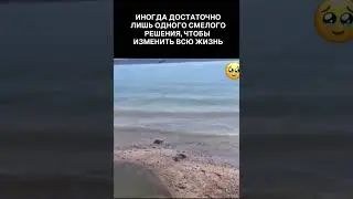 На свете нет ничего невозможного — дело только в том, хватит ли у тебя храбрости😘🤔 ПОДПИШИСЬ ❤️