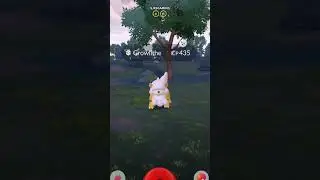 ✨✨ Shiny Alert!! ✨✨ What was your last shiny? :D #shinypokemon #pokemongo #pokemon
