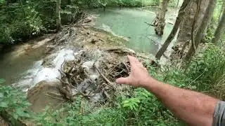 Amazing Stone Beaver Dam
