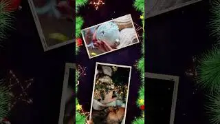 Easy Photo Slideshow Tutorial #animation #slideshow #tutorial