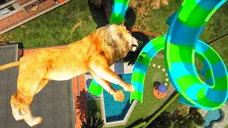 Water Slides Ragdolls LION (GTA 5 Euphoria Physics Funny Moments & Fails-Wins) 4k mod graphics