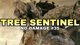 Tree Sentinel Boss Fight (No Damage) Elden Ring Shadow of The Erdtree